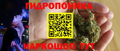 ГАЛЛЮЦИНОГЕННЫЕ ГРИБЫ Кингисепп