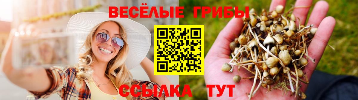 МЕФ  Канабис  Краснодар  Вход с VPN  MDMA  ГАШ  Кокаин  А ПВП СК   Мефедрон  